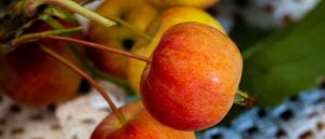 ¿Por qué la fruta del súper no sabe a nada?: El Arte de la Maduración y el Secreto del Sabor